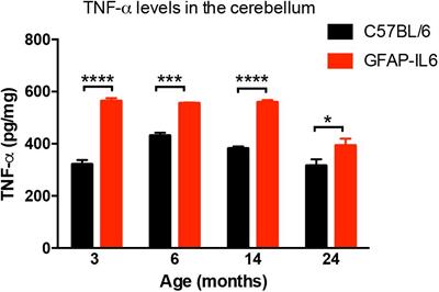 Chronic Microglial Activation in the GFAP-IL6 Mouse Contributes to Age-Dependent Cerebellar Volume Loss and Impairment in Motor Function